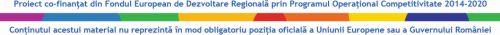 Consolidarea poziţiei pe piaţă a KRANZ EUROCENTER SRL prin investiţii durabile